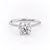 Round Cut Moissanite Engagement Ring, Plain Band With Hidden Halo