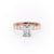 EMERALD CUT MOISSANITE STONE SET SHOULDERS WITH HIDDEN HALO