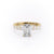 EMERALD CUT MOISSANITE STONE SET SHOULDERS WITH HIDDEN HALO