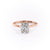 Elongated Cushion Cut Moissanite Engagement Ring, Hidden Halo