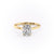 Elongated Cushion Cut Moissanite Engagement Ring, Hidden Halo