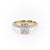 Elongated Cushion Cut Moissanite Engagement Ring, Pave Set Shoulders