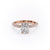 Elongated Cushion Cut Moissanite Pavé Set Shoulders With Hidden Halo