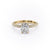 Elongated Cushion Cut Moissanite Pavé Set Shoulders With Hidden Halo