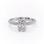 Elongated Cushion Cut Moissanite Pavé Set Shoulders With Hidden Halo