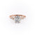 Elongated Cushion Cut Moissanite With Hidden Halo And Side Stones