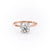 ROUND CUT MOISSANITE RING WITH HIDDEN HALO
