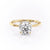 ROUND CUT MOISSANITE RING WITH HIDDEN HALO