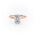 Oval Cut Moissanite Ring, Hidden Halo Design