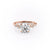 Round Cut Moissanite With Hidden Halo And Side Stones
