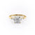 Cushion Cut Moissanite, Traditional Classic Design