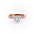 PRINCESS CUT MOISSANITE STONE SET SHOULDERS WITH MILGRAIN EDGE