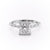 Princess Cut Moissanite Engagement Ring With Hidden Halo