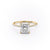 Princess Cut Moissanite Engagement Ring, Hidden Halo