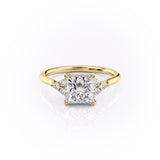 Princess Cut Moissanite With Side Stones