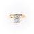 Princess Cut Moissanite, Plain Band With Hidden Halo