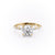 Round Cut Moissanite Engagement Ring With Hidden Halo