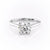 Round Cut Moissanite Engagement Ring, Hidden Halo