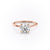 Round Cut Moissanite, Plain Band & Hidden Halo
