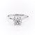 Round Cut Moissanite, Plain Band & Hidden Halo