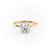 Round Cut Moissanite Engagement Ring, Plain Band With Hidden Halo