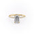 EMERALD CUT MOISSANITE ENGAGEMENT RING, HIDDEN HALO